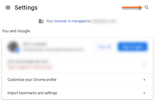 Google Chrome - Search section