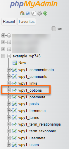phpMyAdmin - database name - wp_options