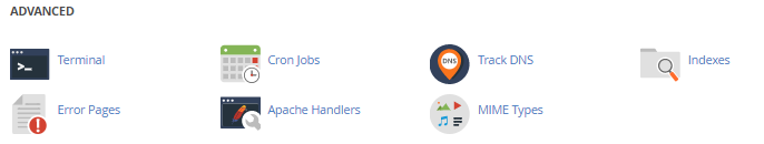 cPanel Advanced