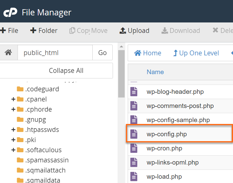 wp-config file