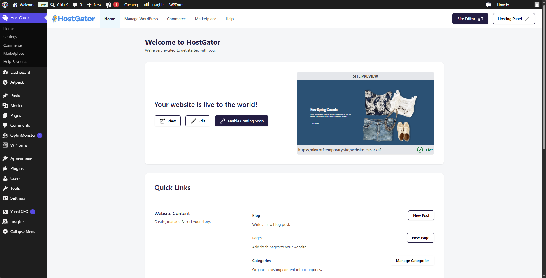 Install WP - Dashboard