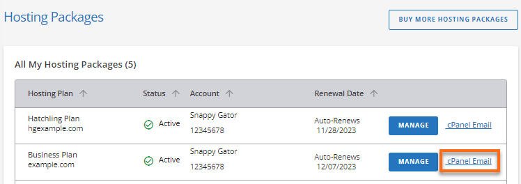 cPanel Email link