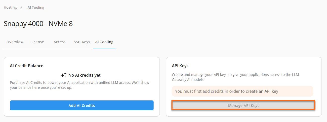 Customer Portal - Hosting tab - AI Tooling - API Keys