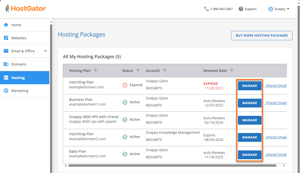 Customer Portal - Hosting Packages