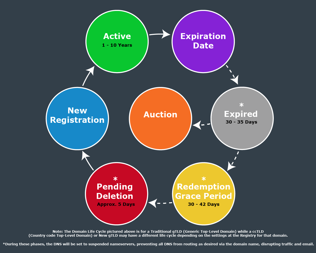 dns cycle price