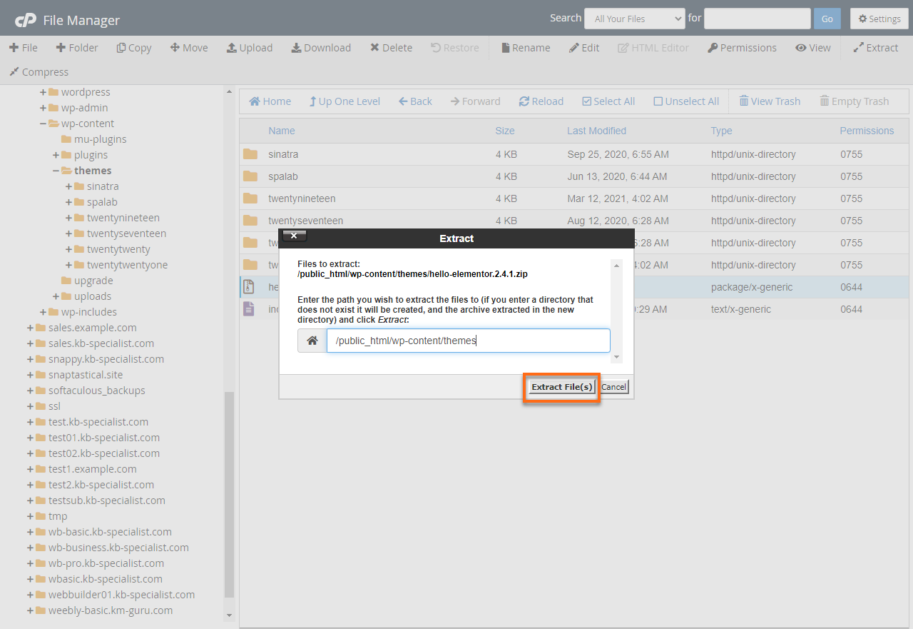 Extract File