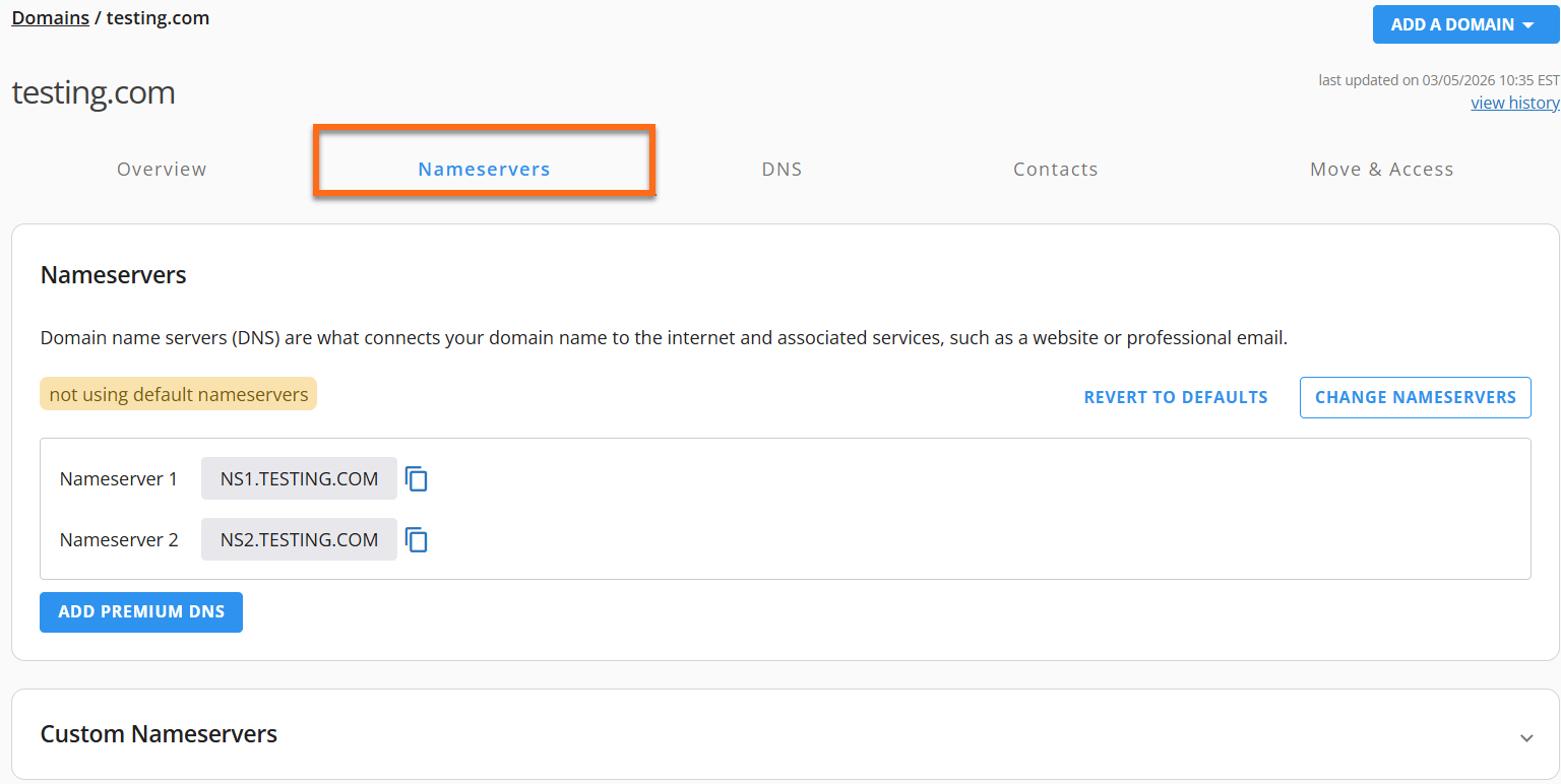 custom ns IP