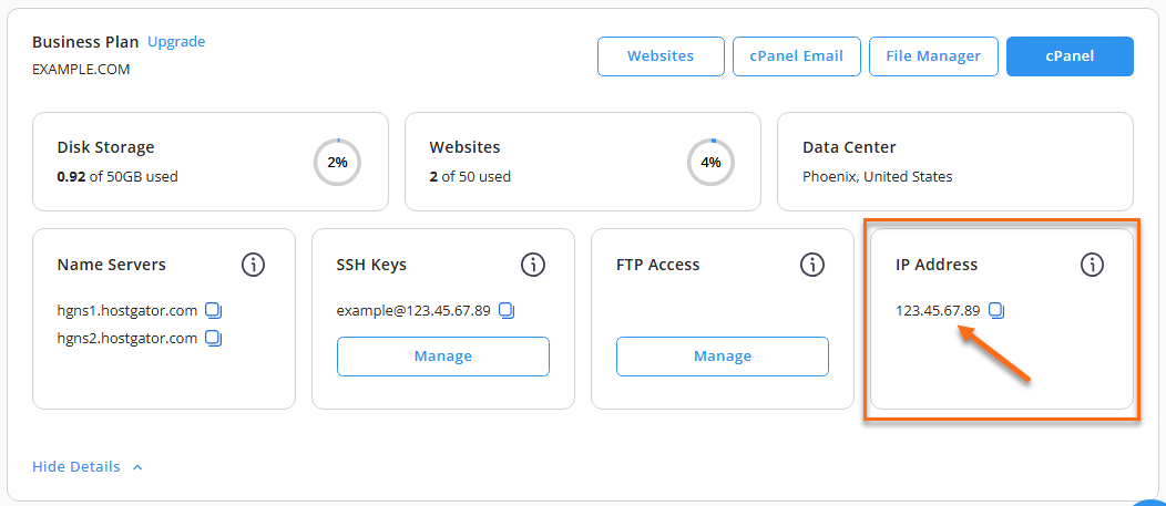 Hosting tab - View Details - IP Address