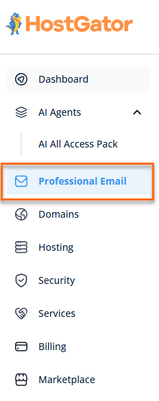 Professional Email