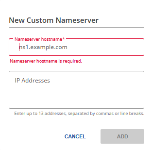 custom ns IP