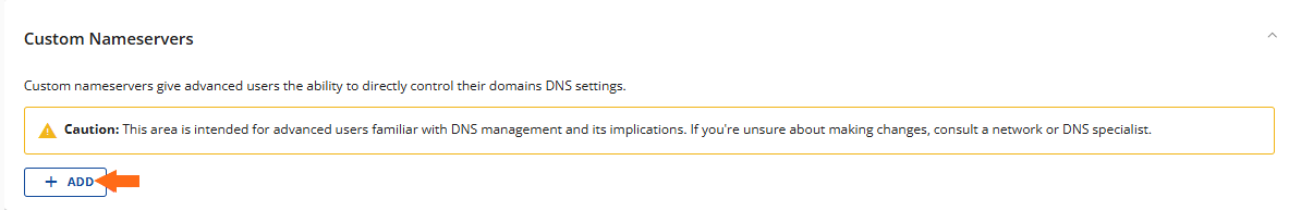 custom ns IP