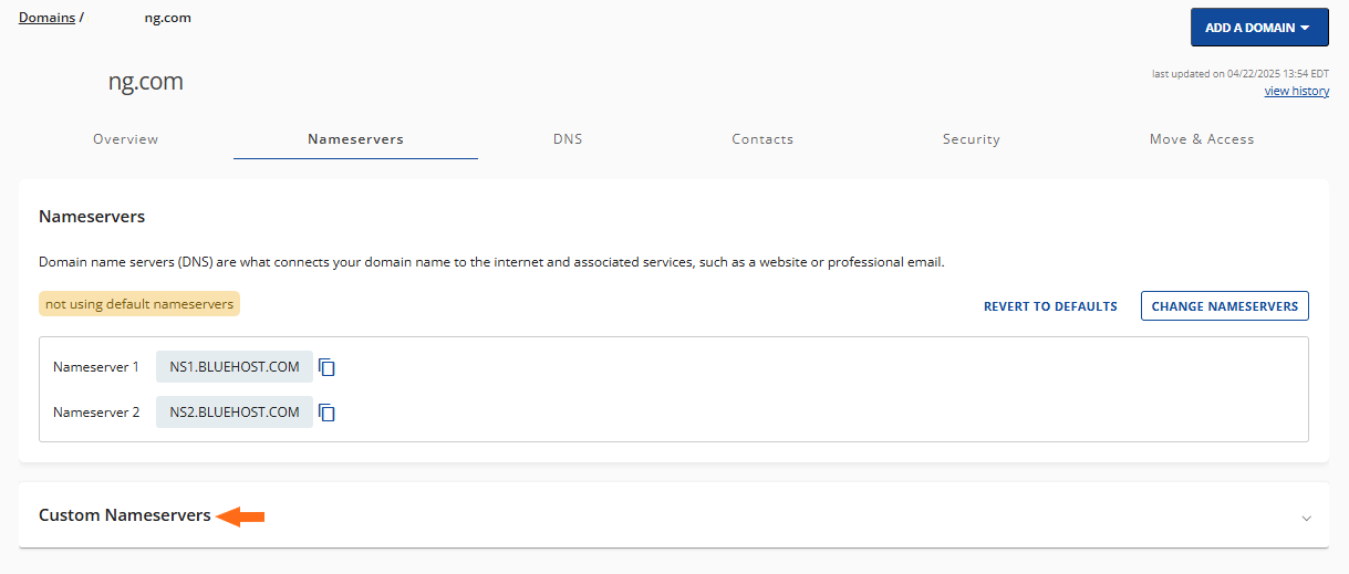 custom ns IP