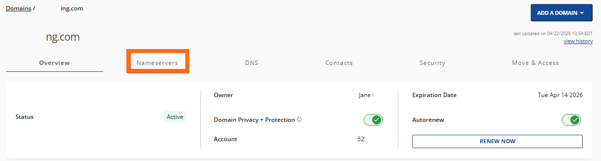 custom ns IP