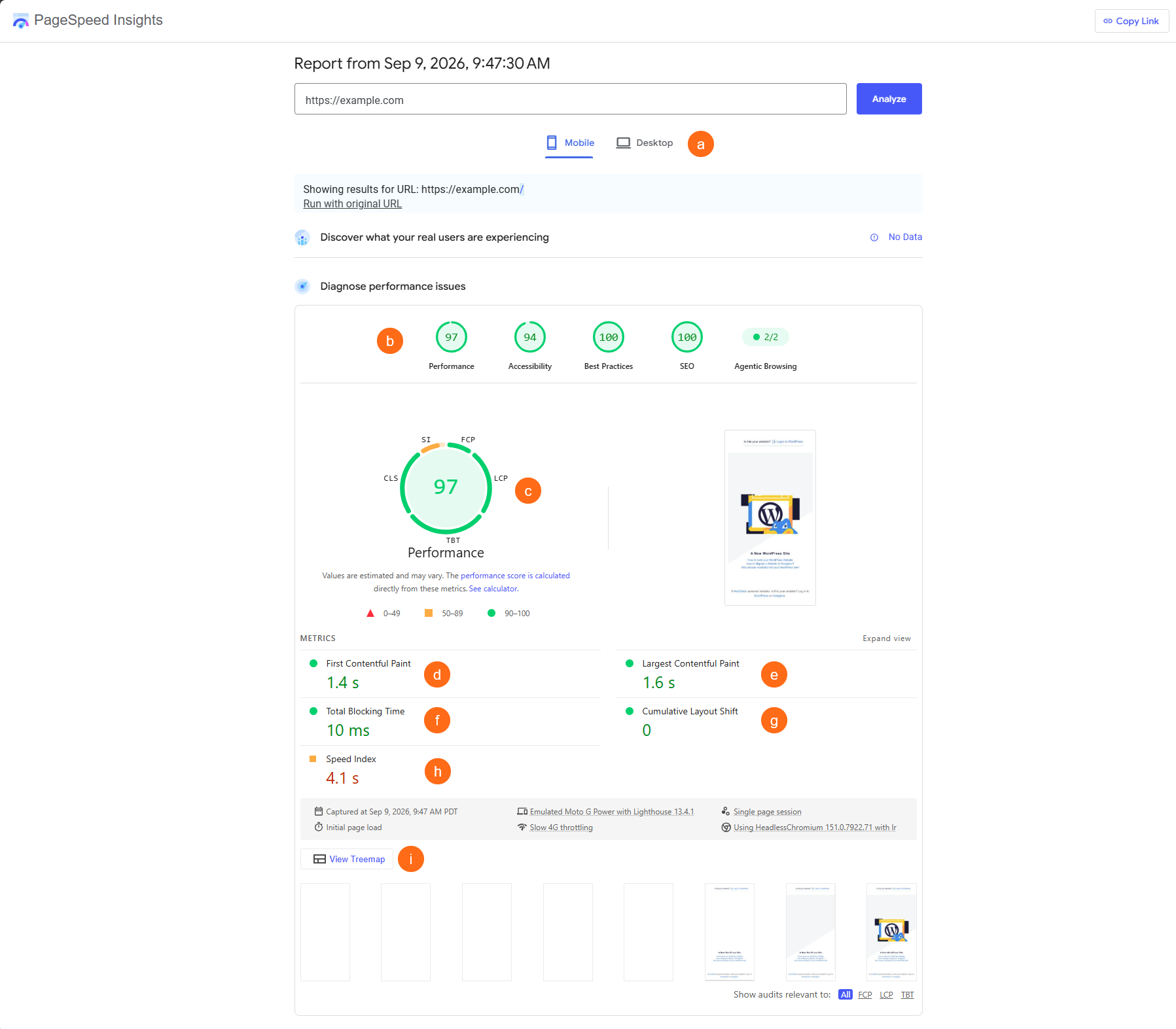 PageSpeed Performance Report - Performance Issues