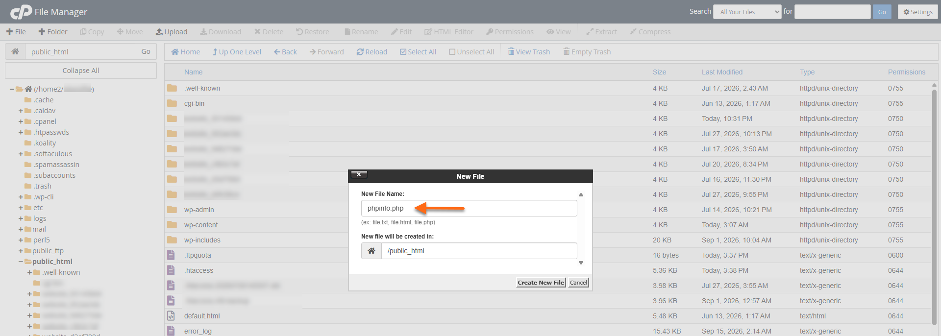 New phpinfo file - Create new file