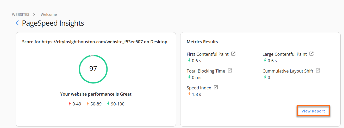 PageSpeed Insights Panel - View Report