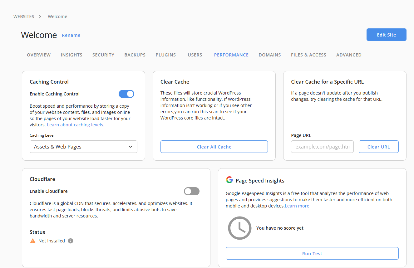 Speed tab - Google PageSpeed Insights card