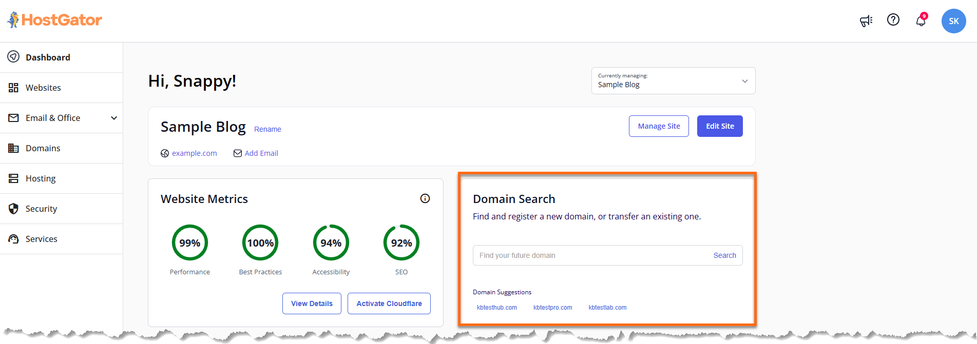 Domain Search