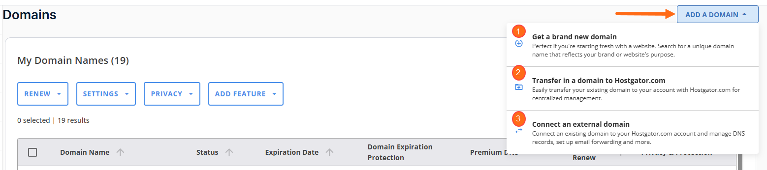 Customer Portal - Domains tab - Add a Domain
