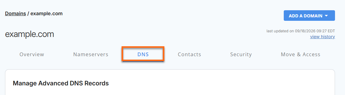 DNS tab