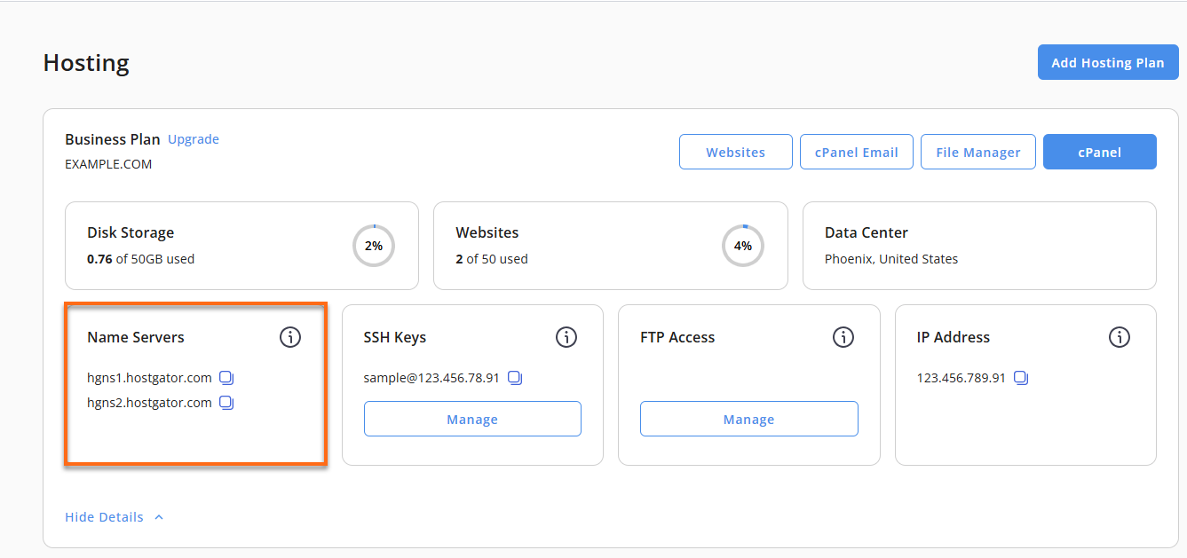 Hosting tab - Nameservers menu