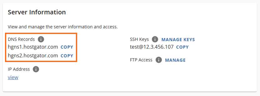 Domains tab - Nameservers menu