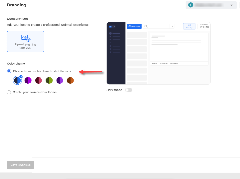 Professional Email - Branding Feature - Choose preset color