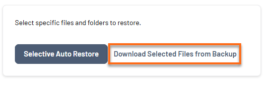 Bluehost Portal - Website Tab Manage Xcitium View Backup History Download Files