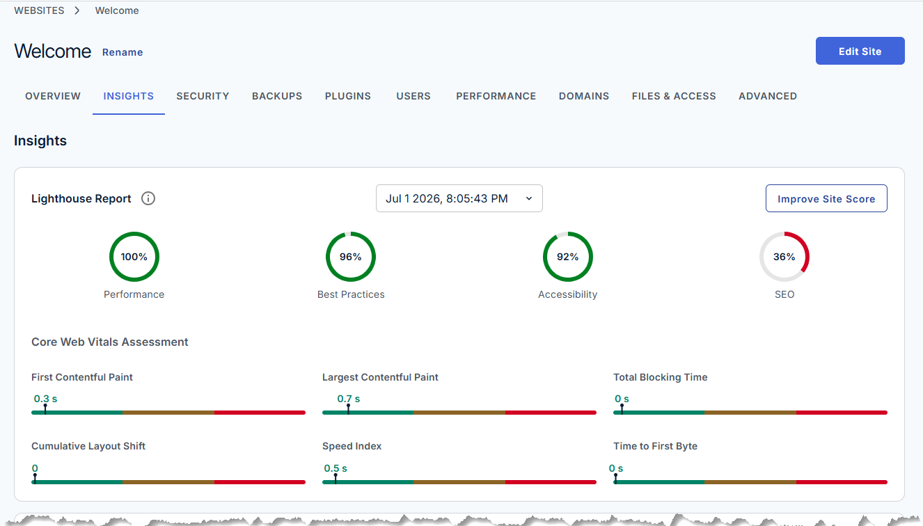 Insights tab - Lighthouse Report