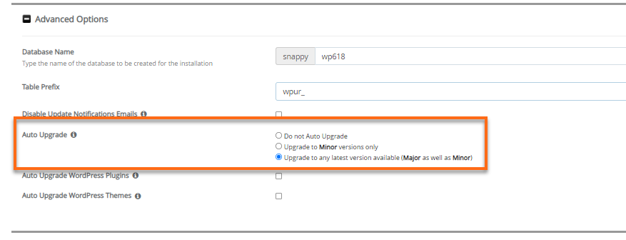 softaculous installation page  set to auto upgrade