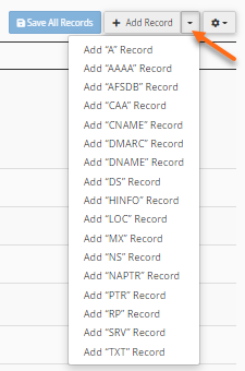 WHM - DNS Zone Manager - Select record type