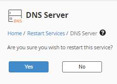 WHM - Restart Services - DNS Server