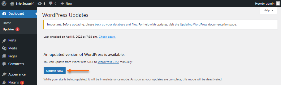 WordPress Dashboard - Update Now